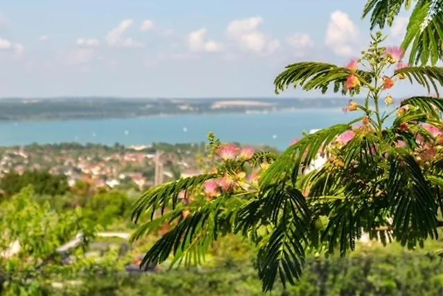 Appartement Azur 1 - Panoramic Escape Balatonalmádi